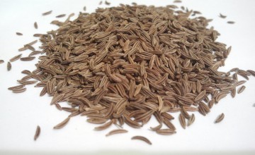carvi-semences